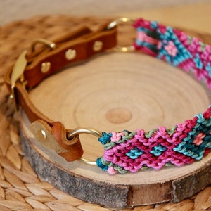 Peut inclure: Un collier de chien en cuir marron avec une boucle en m&eacute;tal dor&eacute; et deux anneaux. Le collier est d&eacute;cor&eacute; d'une bande tiss&eacute;e color&eacute;e dans des tons de rose, vert et bleu.