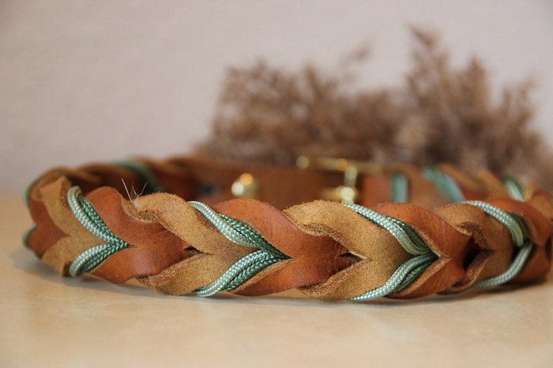 Leather collar | braided leather collar | ELISA image 5