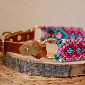 Peut inclure: Un collier pour chien tress&eacute; rose, turquoise et vert avec une sangle en cuir marron et des accessoires en m&eacute;tal dor&eacute;.
