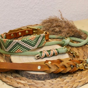 Paracord collar & leash | AvocadoLove