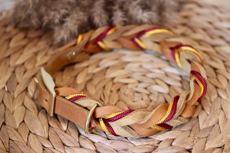 Leather collar | braided leather collar | ELISA image 4