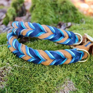 May include: A braided leather dog collar with blue and brown stripes and a gold metal buckle.