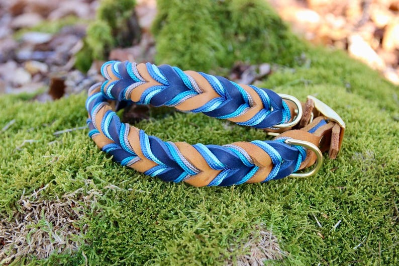 May include: A braided leather dog collar with blue and brown stripes and a gold metal buckle.