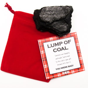 GeoKidz Authentic Lump of Coal