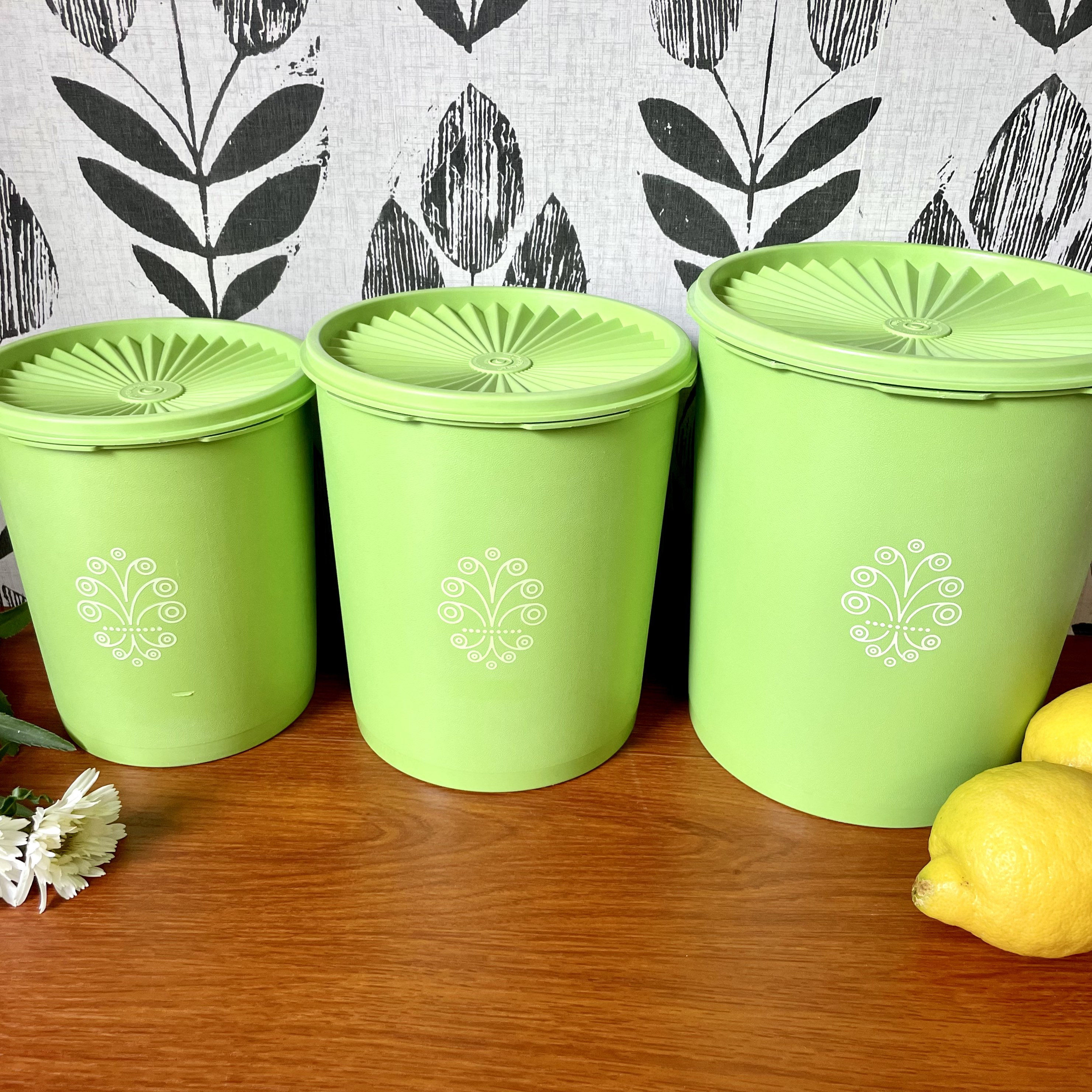 Green Vintage Tupperware Canister Set, Season Shakers w/ Wall