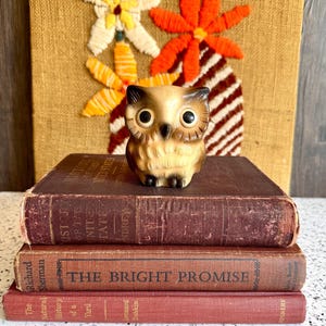 May include: A small, tan and brown ceramic owl figurine with large black eyes, perched atop a stack of three vintage hardcover books. The books are dark brown with visible text on the spines, including the title The Bright Promise.