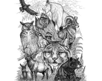 Limitierte Auflage der kanadischen Wildtierdruckserie C