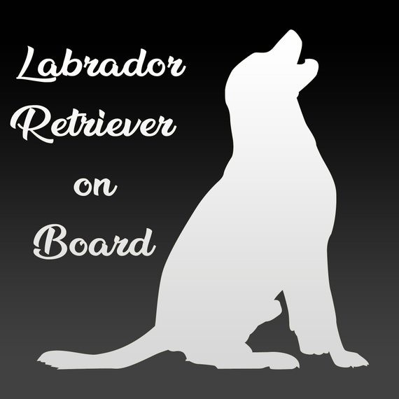 Labrador Retriever Anatomy Sticker - 5" Waterproof Vinyl Decal For Cars & Laptops