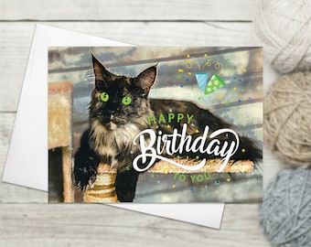 Black White Cat Funny Greeting Cards with Envelopes Surprised Cat Card Cat Lover Painting Greeting Cards Thank You Cards Cat Birthday Card