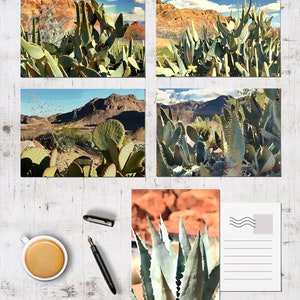Succulent Tropical Plants Landscapes Cartes postales Carte postale Cartes postales Cartes du désert Art Southwest Cadeau Las Vegas NV Affiches de voyage Impressions