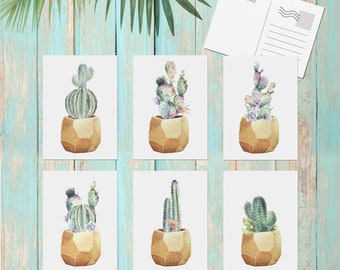 Potted Succulents Note Cards Set of 6 Postcards Postcard Set Paintings Cards Watercolors Succulent Thank You Card Moving Announcement Cards