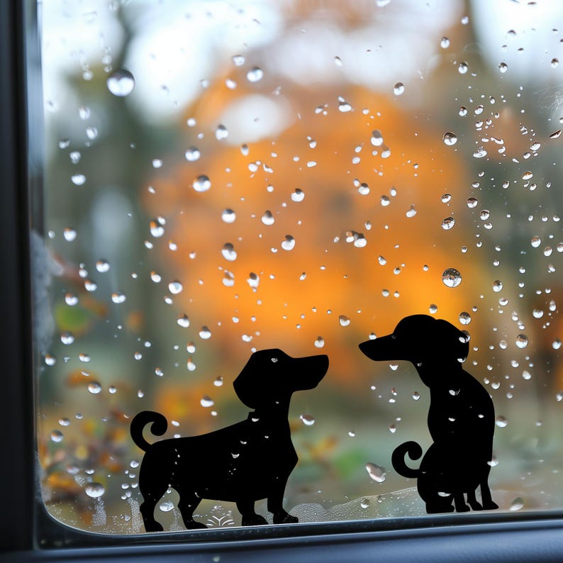 Puede incluir: Dos pegatinas de perro salchicha en silueta negra en una ventana de coche con gotas de lluvia. Los perros se miran.