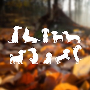 Puede incluir: Una colecci&oacute;n de ilustraciones de perros salchicha en silueta blanca en varias poses, incluyendo de pie, sentados y corriendo. Las siluetas est&aacute;n sobre un fondo borroso de hojas de oto&ntilde;o.