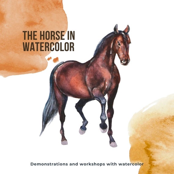 Horse Drawing Lasson How Pain Brown Horse in Watercolor - Etsy Australia Horse Drawing Lasson How Pain Brown Horse in Watercolor - Etsy Australia