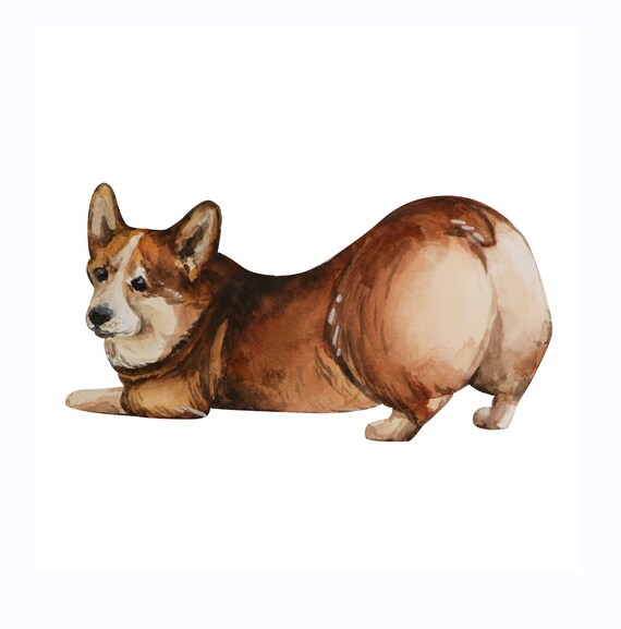 Corgi Drawing Lasson How Pain Dog in Watercolor Chickadee - Etsy Corgi Drawing Lasson How Pain Dog in Watercolor Chickadee - Etsy