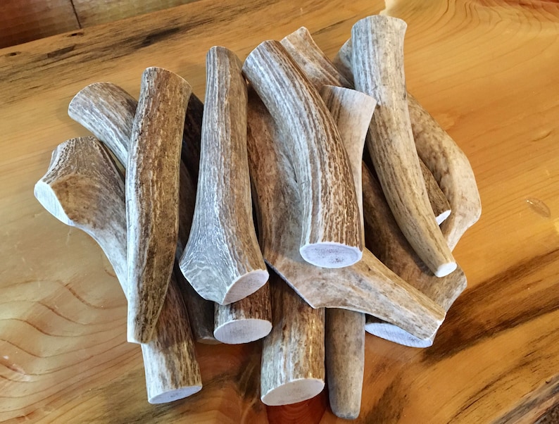 Value Pack 3lbs Whole Elk Antler Chews Etsy