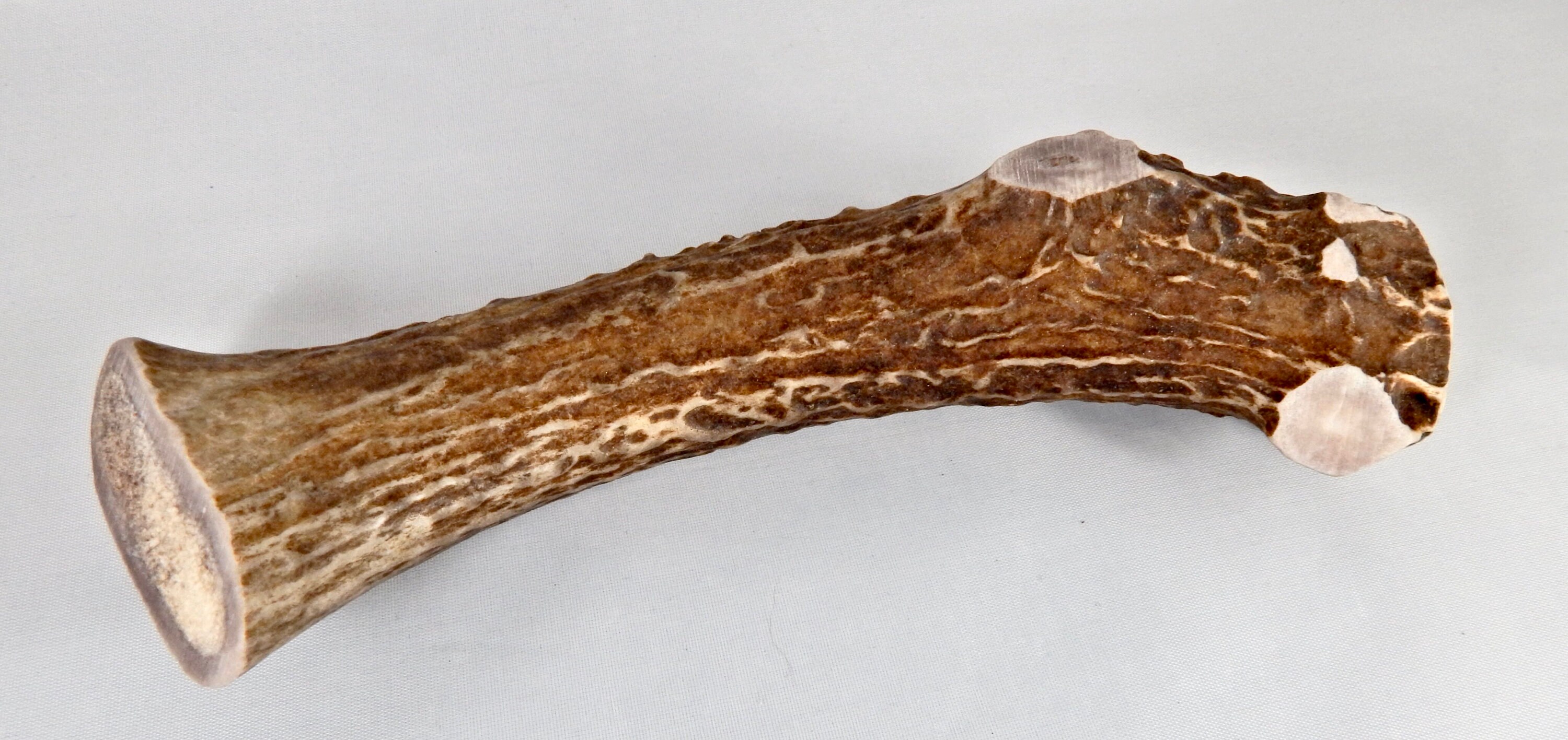 XL Deer Antler Dog Chew, Made from Premium Grade A Deer Antler