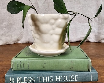 Maceta vintage Brush McCoy Pebble. Jardinera de cerámica artística de mediados de siglo. Maceta de cerámica color crema con platillo incorporado. Decoración rústica de estilo campestre.