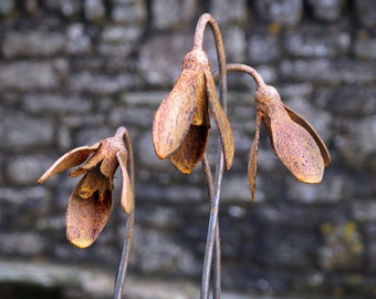 Metal Snowdrop Flower Sculptures for the Garden. 1 Metre Tall Rusty Garden Art Ornaments