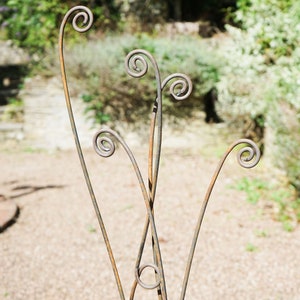 Rusty Metal Fern Stems (Set of 5): Handmade Garden Art Sculpture