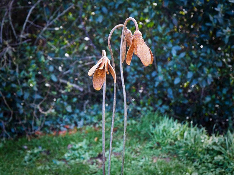 Metal Snowdrop Flower Sculptures for the Garden. 1 Metre Tall Rusty Garden Art Ornaments image 7