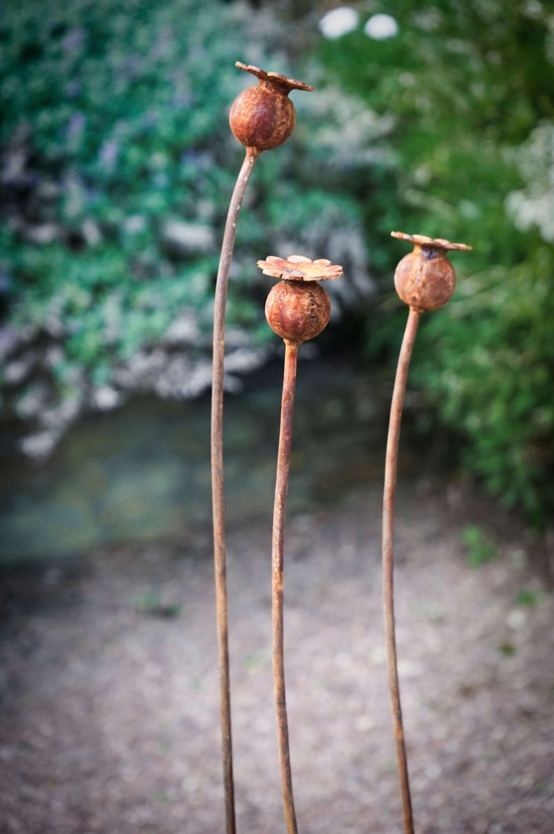 Rusty Metal Poppy Seed Head Sculpture / Garden Art Decoration Etsy