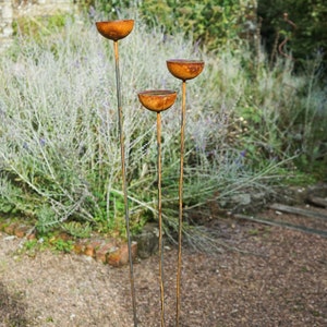 May include: Three rusty metal bowls on tall stems, arranged in a staggered formation. The bowls are a warm brown color and have a slightly rounded shape. The stems are thin and straight, and they are all connected to a base that is not visible in the image.