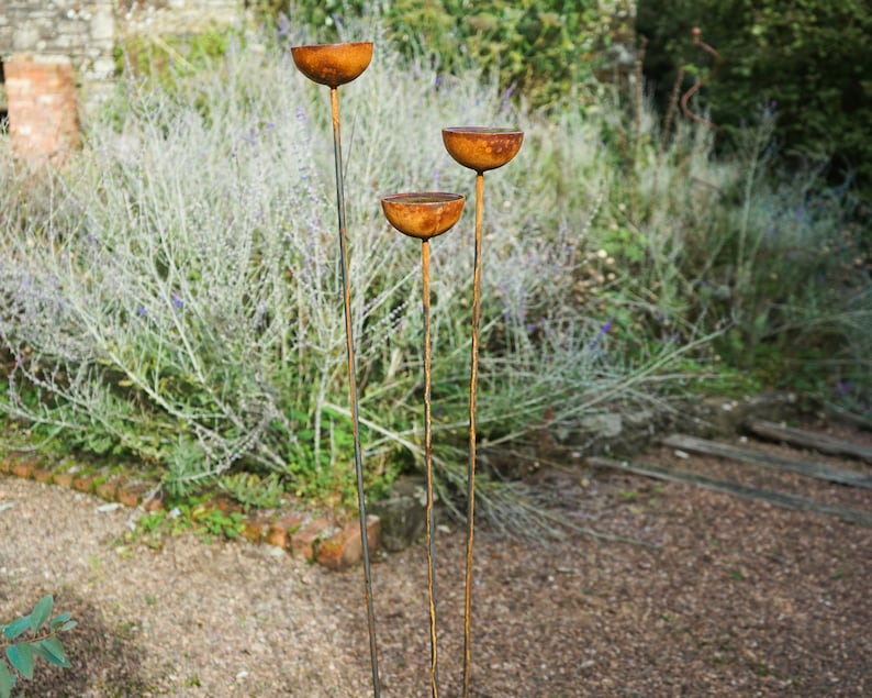 May include: Three rusty metal bowls on tall stems, arranged in a staggered formation. The bowls are a warm brown color and have a slightly rounded shape. The stems are thin and straight, and they are all connected to a base that is not visible in the image.