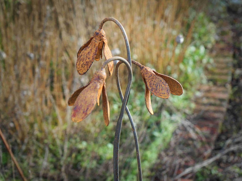 Metal Snowdrop Flower Sculptures for the Garden. 1 Metre Tall Rusty Garden Art Ornaments image 6