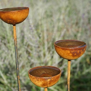 May include: Three rusty metal bowls on tall metal stems, filled with water, against a blurred background of green and brown foliage.