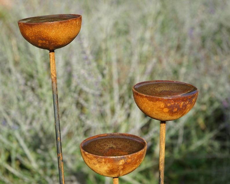 May include: Three rusty metal bowls on tall metal stems, filled with water, against a blurred background of green and brown foliage.