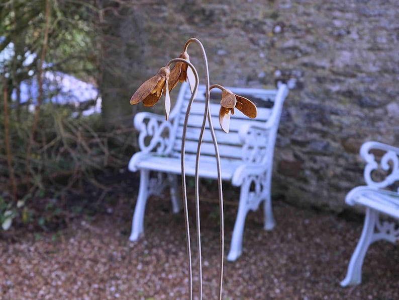 Metal Snowdrop Flower Sculptures for the Garden. 1 Metre Tall Rusty Garden Art Ornaments image 4