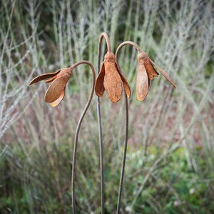 Metal Snowdrop Flower Sculptures for the Garden. 1 Metre Tall Rusty Garden Art Ornaments image 8