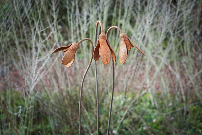 Metal Snowdrop Flower Sculptures for the Garden. 1 Metre Tall Rusty Garden Art Ornaments image 8