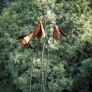 Metal Snowdrop Flower Sculptures for the Garden. 1 Metre Tall Rusty Garden Art Ornaments image 5