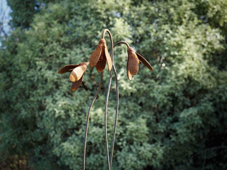 Metal Snowdrop Flower Sculptures for the Garden. 1 Metre Tall Rusty Garden Art Ornaments image 5