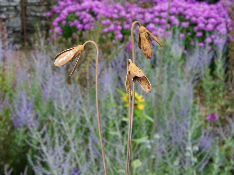 Metal Snowdrop Flower Sculptures for the Garden. 1 Metre Tall Rusty Garden Art Ornaments image 3