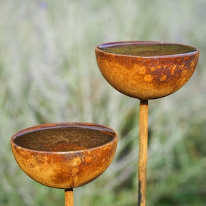 May include: Two rusty metal bowls filled with water, mounted on metal rods, against a blurred background of green foliage.