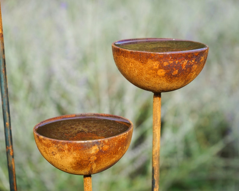 May include: Two rusty metal bowls filled with water, mounted on metal rods, against a blurred background of green foliage.
