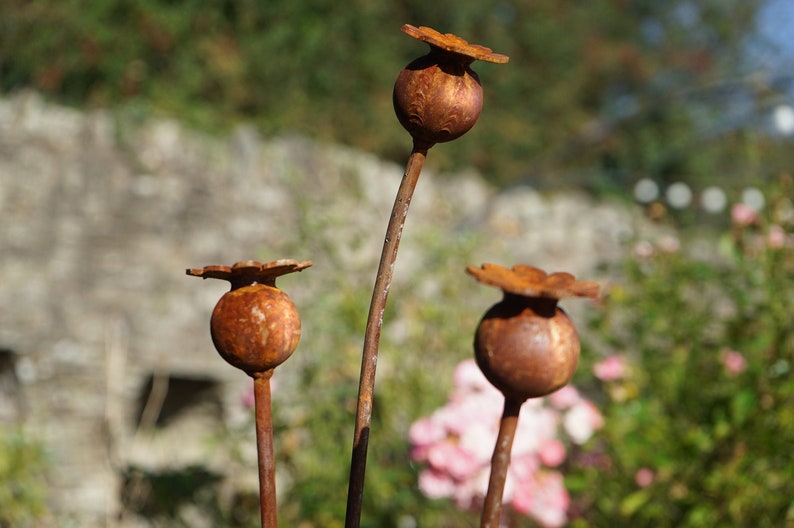 Rusty metal Poppy seed head garden sculptures / garden art Etsy