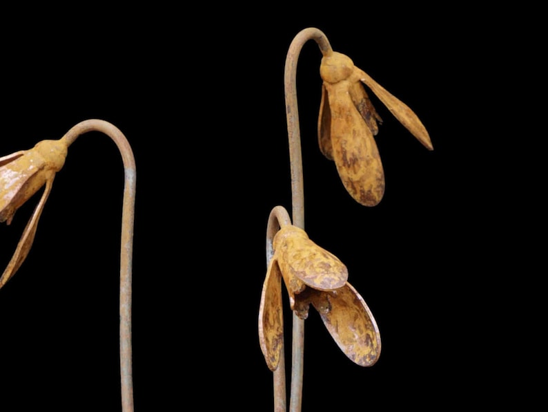 Metal Snowdrop Flower Sculptures for the Garden. 1 Metre Tall Rusty Garden Art Ornaments image 2
