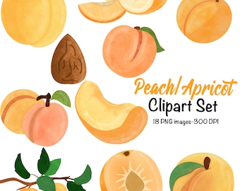 Pfirsich/Apricot Clipart Set