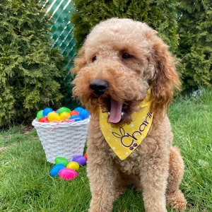 Easter Dog Bandana|| Bunny Bandana|| Embroidery Personalized||