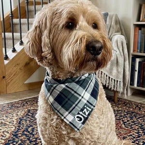 Embroidered Dog Bandana, Personalized Green Plaid Pet Scarf, Custom Name Tartan Accessory