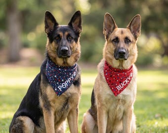 May include: Two German Shepherd dogs sitting on grass, each wearing a bandana. One bandana is navy blue with white stars and the name "POPPY". The other is red with white stars and the name "BUCKY".