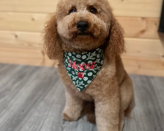 May include: A light brown poodle wearing a green bandana with a white pine cone pattern and the word "Moose" embroidered in red.