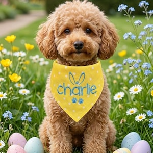 Easter Dog Bandana|| Bunny Bandana|| Embroidery Personalized||