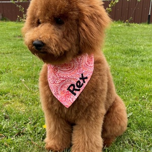 Personalized dog bandana//Tie and snap dog bandana//Embroidery name bandana//Paisley Orange Keepsake Calico Cotton Fabric