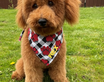 May include: A red poodle wearing a black and white checkered bandana with red paw prints and the name "REX" embroidered in yellow.