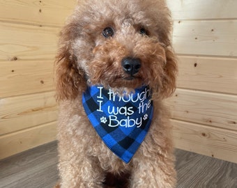 Custom Embroidered Dog Bandana: Big Brother/Sister Announcement